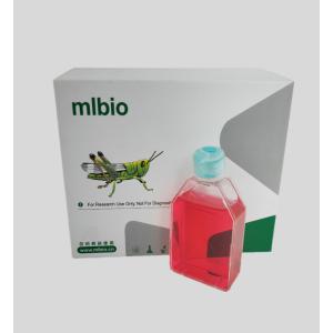 兔脂肪間充質干細胞主圖