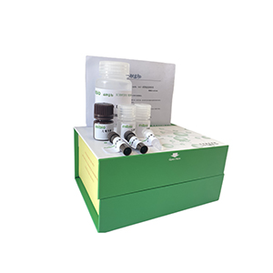 精氨酸脫羧酶(ADC)活性檢測(cè)試劑盒分光法/24樣主圖