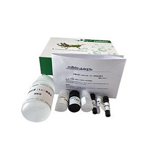 土壤甘氨酸氨基肽酶(S-GAP)測試盒分光法/24樣主圖