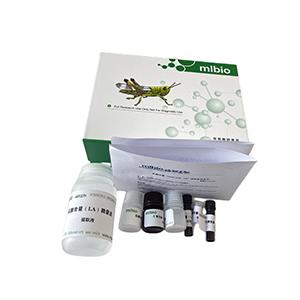 Caspase-9活性檢測(cè)試劑盒主圖