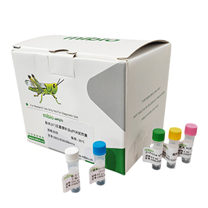 諾如病毒G1型探針法qRT-PCR試劑盒(不含內參)主圖