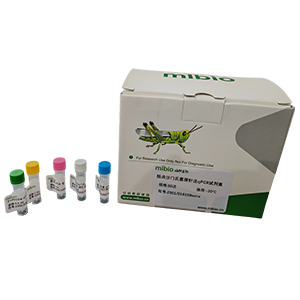 冷杉枯梢病菌探針?lè)╭PCR試劑盒(不含內(nèi)參)主圖