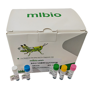 神經(jīng)肉孢子蟲探針法qPCR試劑盒(不含內(nèi)參)主圖