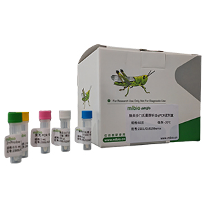 一品紅花葉病毒探針法qRT-PCR試劑盒(不含內(nèi)參)主圖