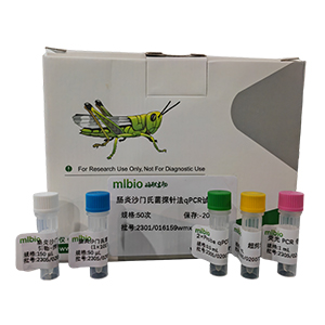 人腺病毒D22型探針法qPCR試劑盒(不含內參)主圖