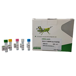大鼠線(xiàn)粒體DNA探針?lè)╭PCR試劑盒(不含內(nèi)參)主圖