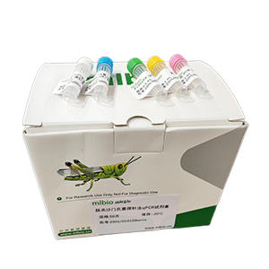 人腺病毒B77型探針法qPCR試劑盒(不含內參)主圖