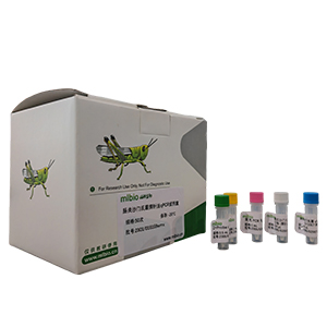 Belfani型白喉棒桿菌探針法qPCR試劑盒(不含內(nèi)參)主圖