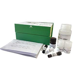 細胞總鐵含量試劑盒96樣主圖