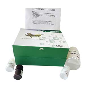 細胞亞鐵含量試劑盒96樣主圖