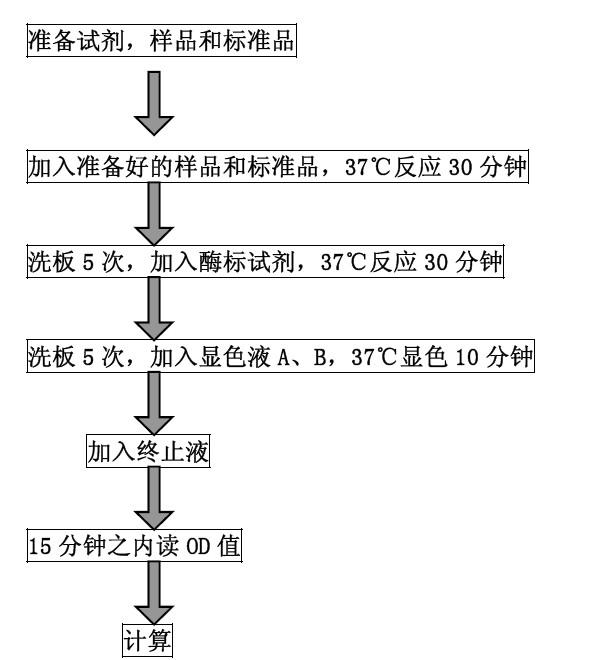 src='http://www.zhuaiming5.cn/images/upload/Image/4(2).jpg'