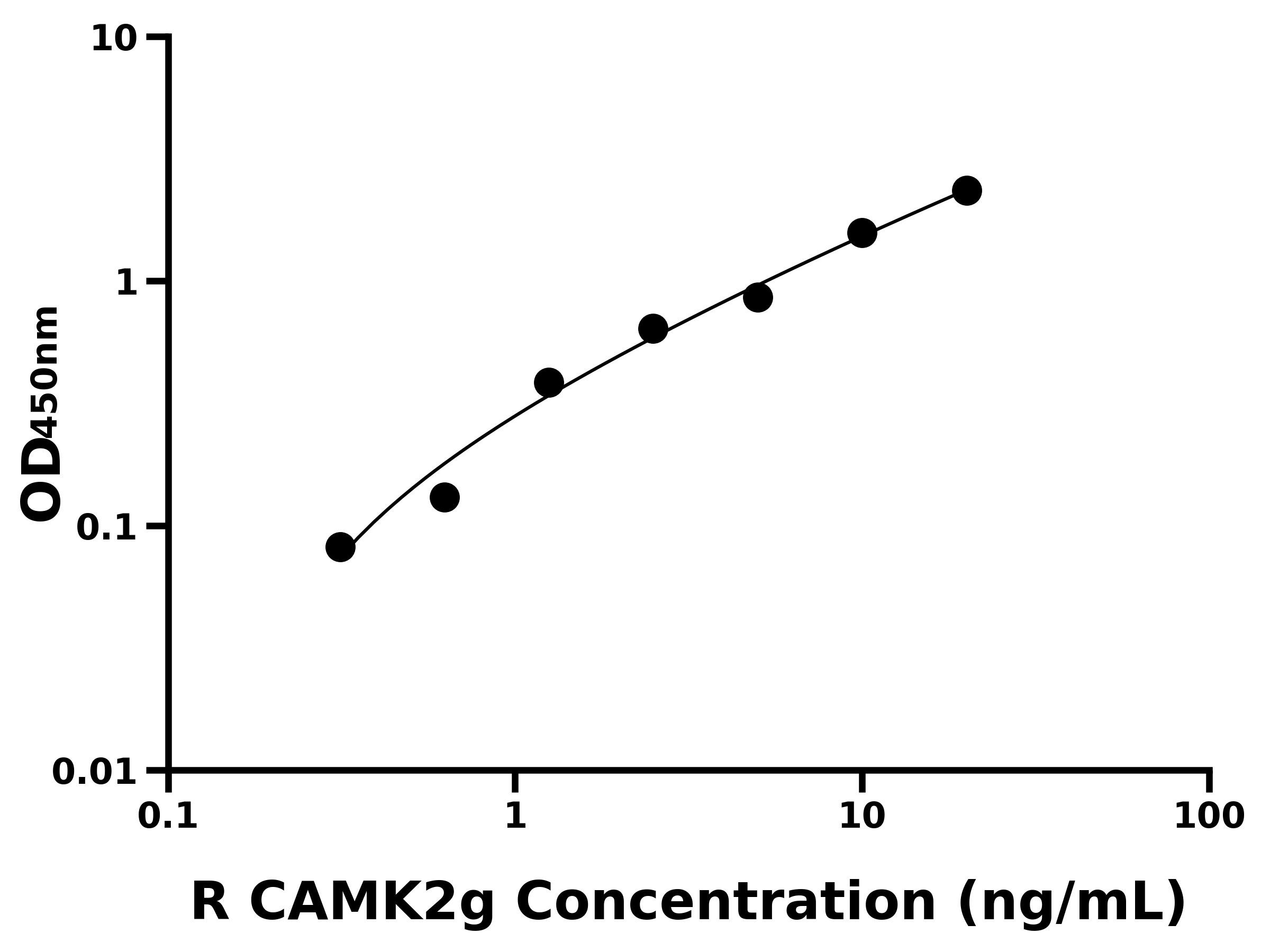 大鼠鈣/鈣調蛋白依賴性蛋白激酶Ⅱγ(CAMK2g)主圖